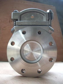 不銹鋼盲板閥圖片,不銹鋼盲板閥高清圖片 無(wú)錫市源華特種泵閥廠,