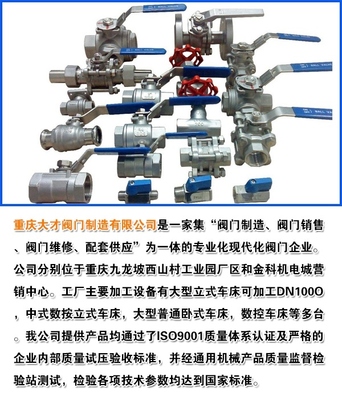 雙向密封偏心半球閥